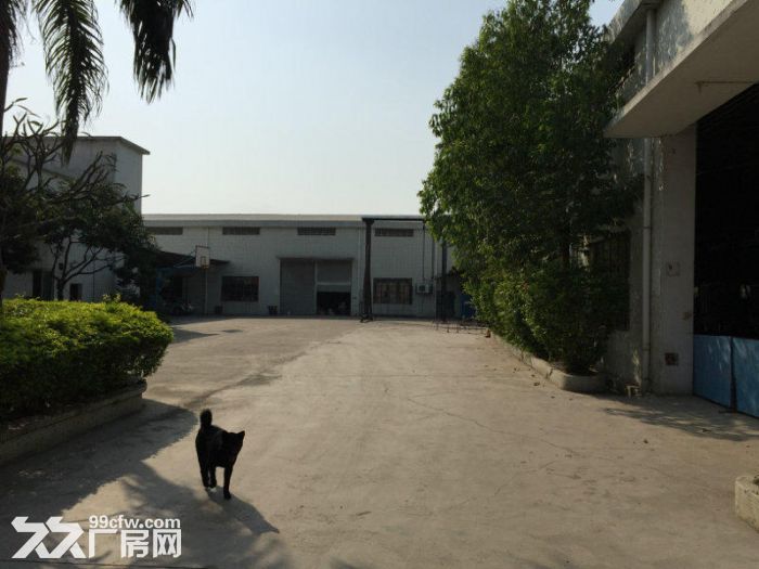 花都新华迎宾大道边2000平米钢构出租可办环评-图3
