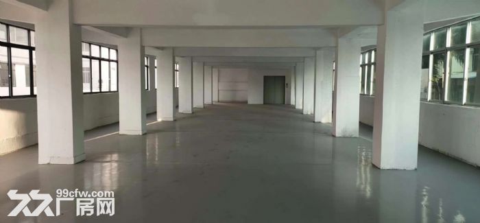 花都区新华镇三东大道旁边新出独门独院厂房出租-图1