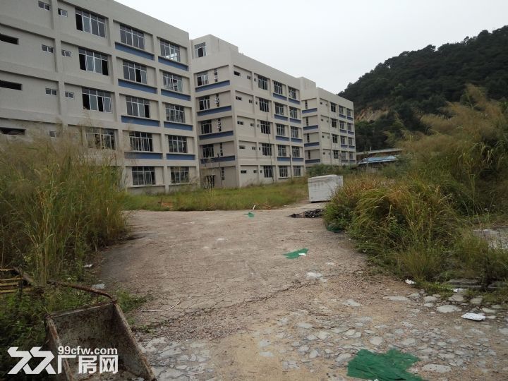 新华工业区18000独门独院可化妆品厂房招租-图1