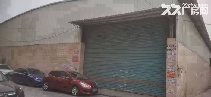 新出新塘镇西洲村1250平方钢构单一层厂房  可分租中间无柱子电量足  可进大车-图2