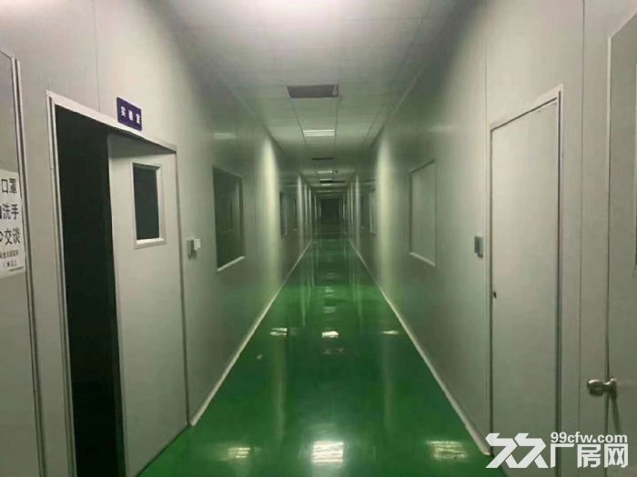 广州增城新塘钢结构民营工业区独栋独院厂房出租-图2