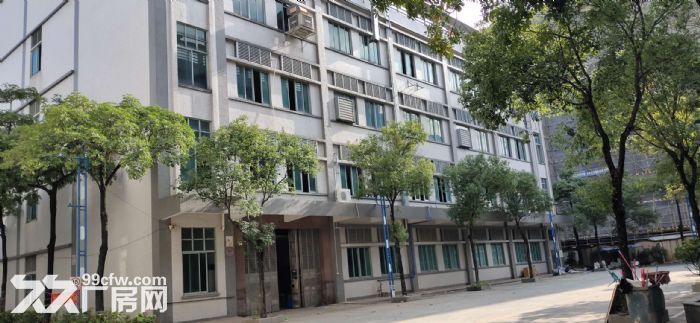 广州增城新塘钢结构民营工业区独栋独院厂房出租-图3