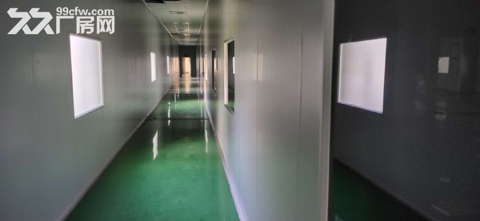 广州增城新塘钢结构民营工业区独栋独院厂房出租-图5