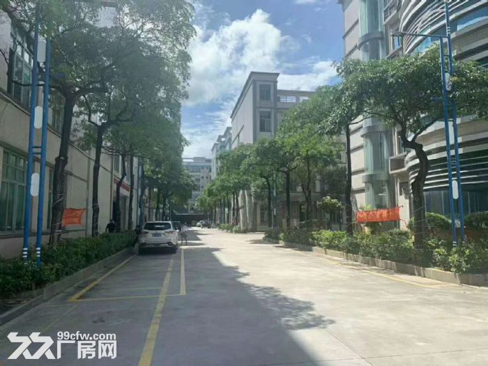 广州增城新塘钢结构民营工业区独栋独院厂房出租-图7