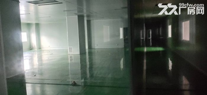 广州增城新塘钢结构民营工业区独栋独院厂房出租-图8