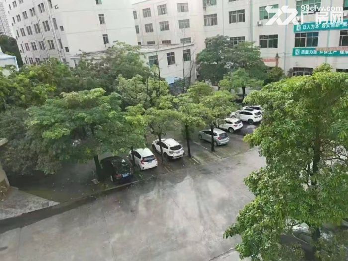 增城荔新大道旁10000㎡红本厂房可分租可办环评雨污分流带标准卸货平台-图1