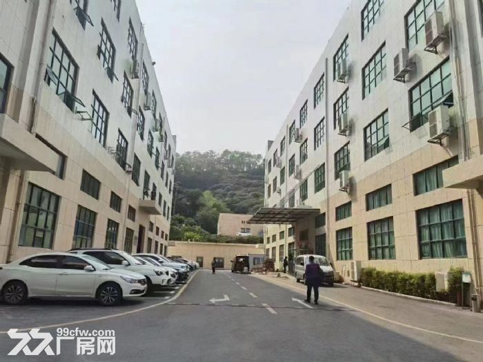 广州市南沙红本独栋厂房-图2