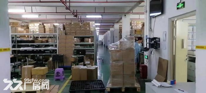 广州市南沙红本独栋厂房-图1