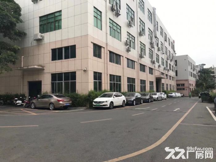 广州市南沙红本独栋厂房-图3