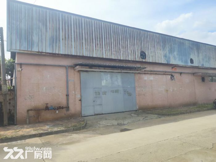 f有排污，门前路宽可入大车，大岗单一层1250方简易-图3