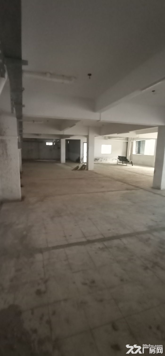 广州番禺 钟村屏山村内1200㎡场地出租标准加简易 独院 可分租-图7