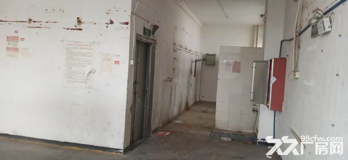 厂靓价廉，大马路边，可做仓库，电子，电商，办公。离地铁站500米。-图1