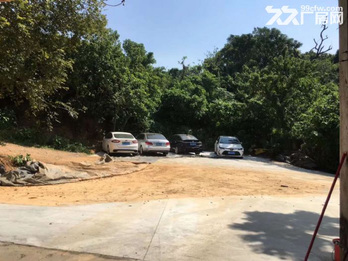 广州番禺 大平1560方简易厂房出租 独院 可分租 可环评-图3