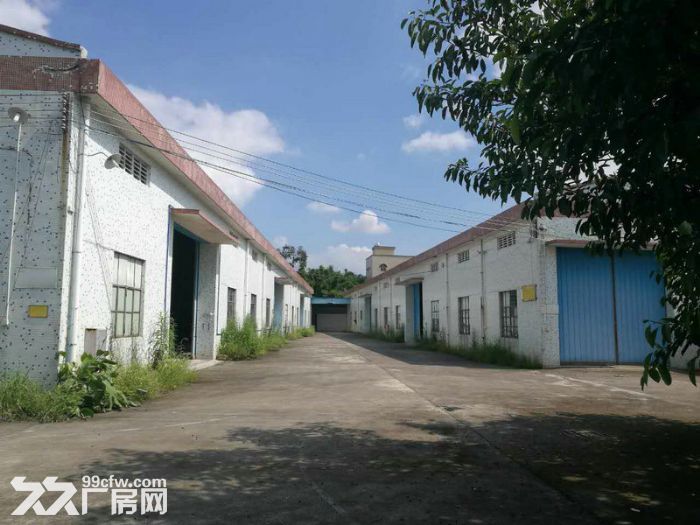 汽车城2000、3000、5000平米厂房出租-图5
