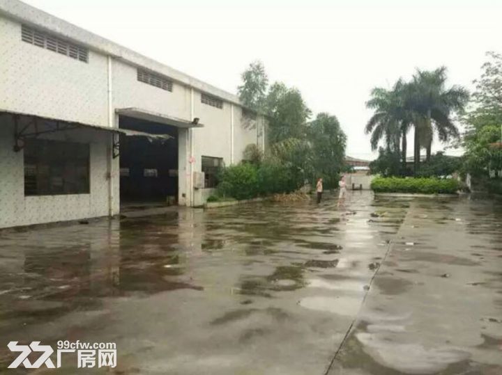 白云区人和江高太和蚌湖神山多个独院出租-图3