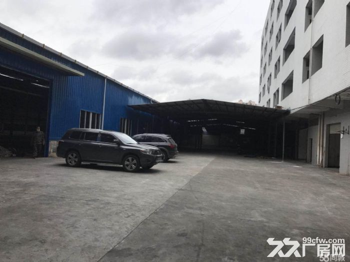 新塘独院5152平方单一层厂房仓库招租-图3