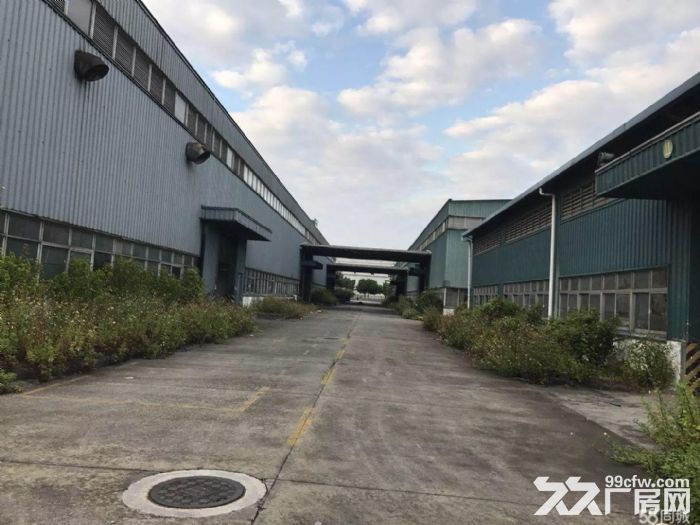 新塘独院5152平方单一层厂房仓库招租-图6