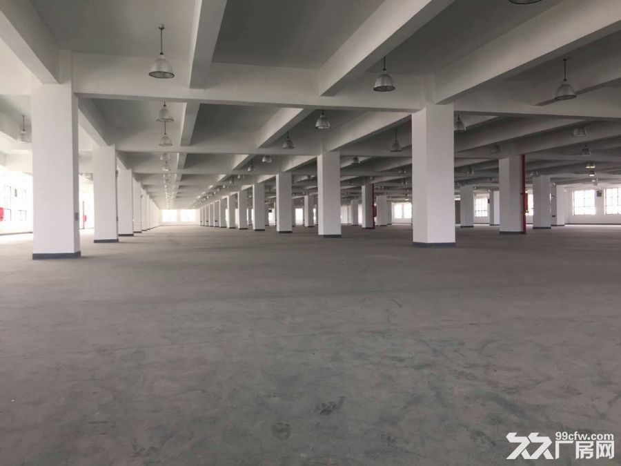 开发东区大型工业园区40000平方（可分租）厂房招租-图3