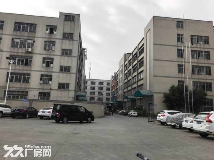 新塘大型工业园区60000平方厂房（可分租）招租-图1