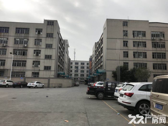 新塘大型工业园区60000平方厂房（可分租）招租-图2