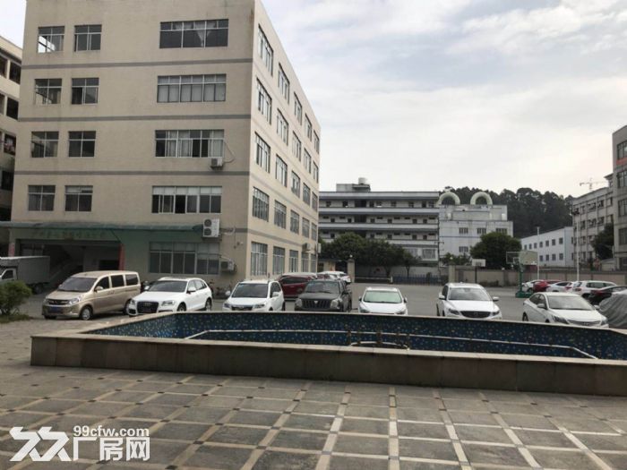 新塘大型工业园区60000平方厂房（可分租）招租-图5