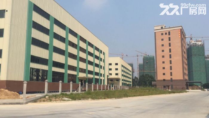 开发区全新仓库/厂房-图1