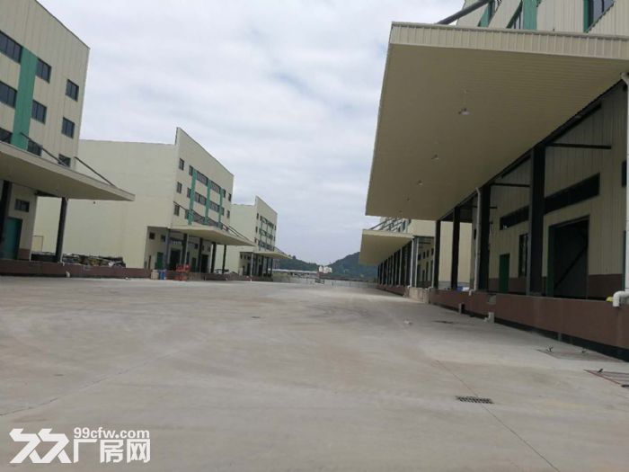 开发区全新仓库/厂房-图5