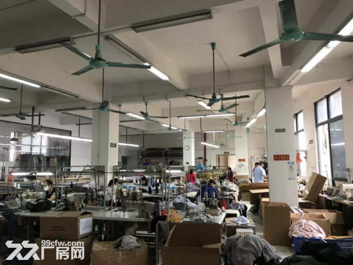 出租番禺大石工业区标准厂房面积480平方.方正实用.有货梯带装修近地铁-图2