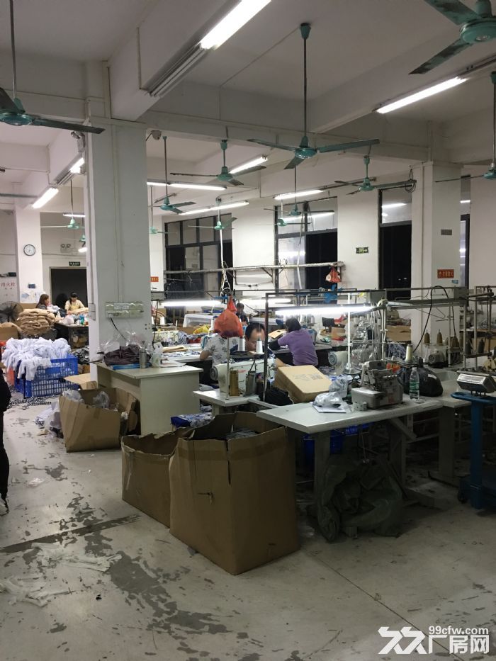 出租番禺大石工业区标准厂房面积480平方.方正实用.有货梯带装修近地铁-图3
