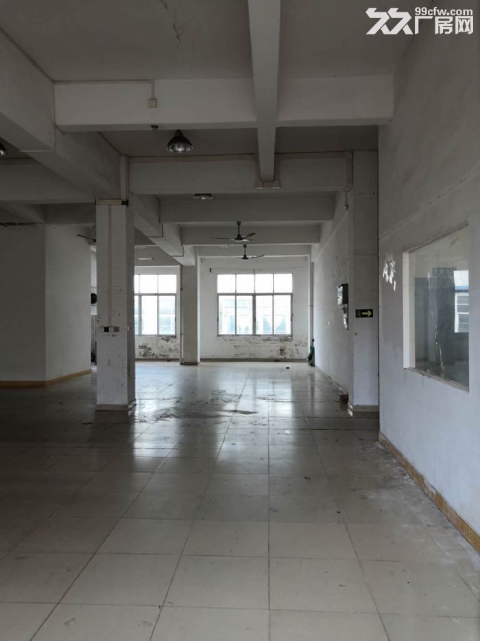 出租番禺大石近地铁2300方两层厂房仓库.可以注册带装修-图8