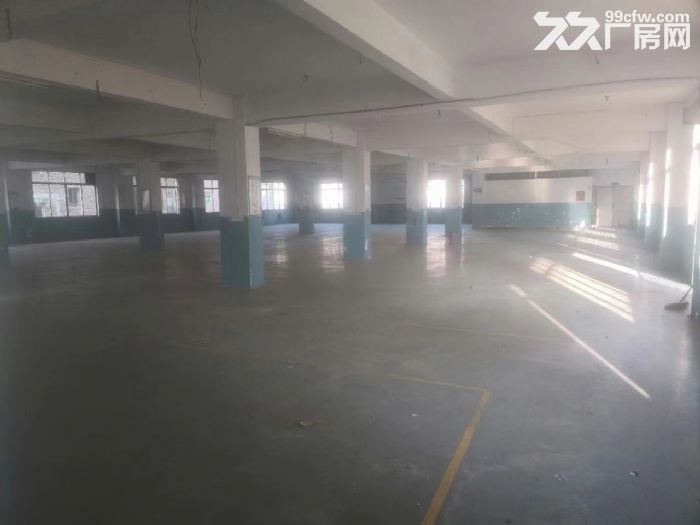 花都区独院10000方一手厂房火热出租-图2