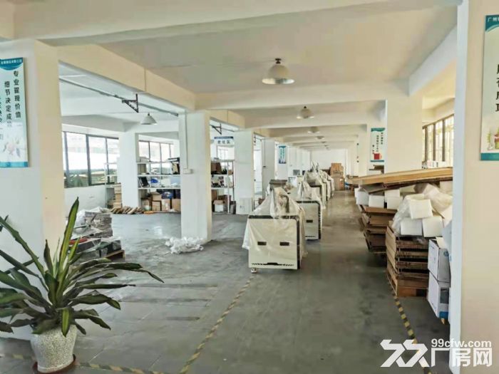 g石基小龙独栋标准厂房出租，路边可分租可做商铺，带办公-图4