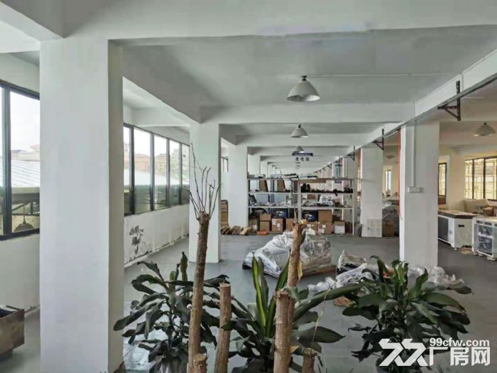g石基小龙独栋标准厂房出租，路边可分租可做商铺，带办公-图6