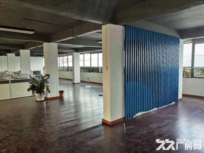 g石基小龙独栋标准厂房出租，路边可分租可做商铺，带办公-图8