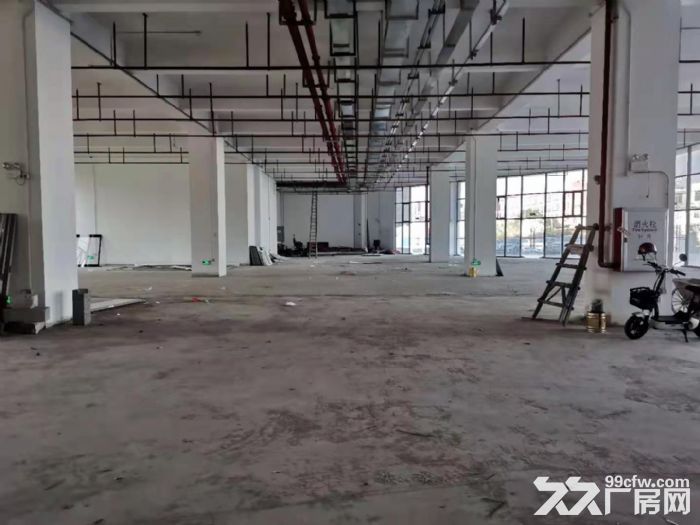 g全新花园式独栋，地铁口旁位置佳，证齐有喷淋，带宿舍-图4