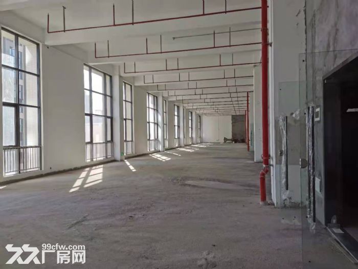 g全新花园式独栋，地铁口旁位置佳，证齐有喷淋，带宿舍-图6