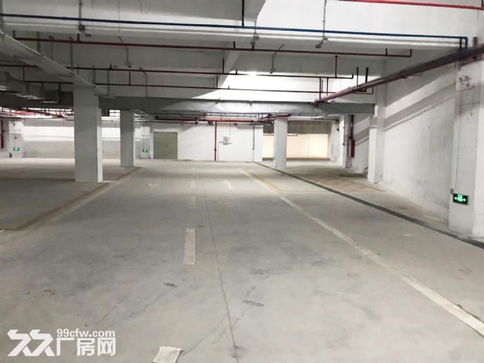 f东涌全新独院独栋厂房！近地铁近高速！一线路边停车位足-图3