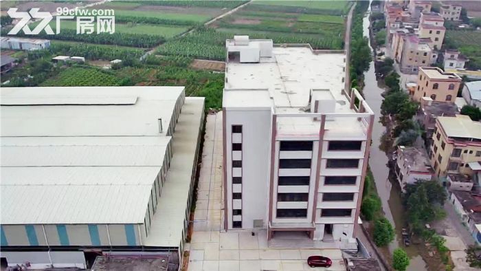 f东涌全新独院独栋厂房！近地铁近高速！一线路边停车位足-图2