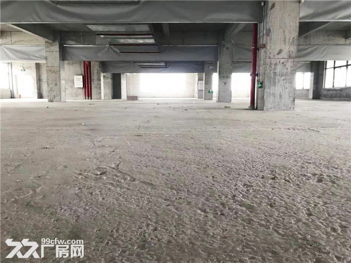 f东涌全新独院独栋厂房！近地铁近高速！一线路边停车位足-图6
