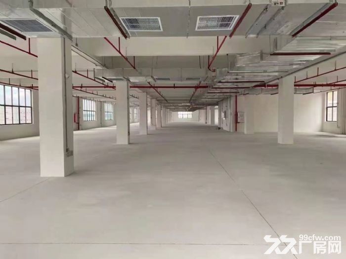 江高镇超靓厂房火热出租-图2