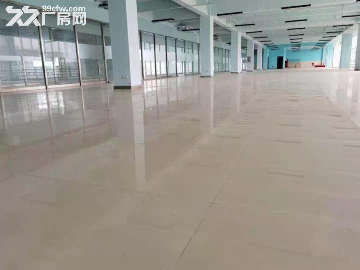 白云区凤翔北路厂房火热出租-图1