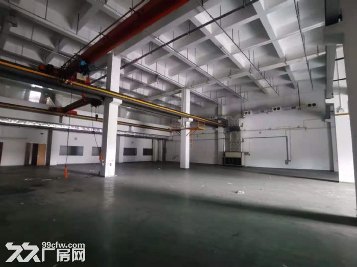 z番禺大道边独门独院天车厂房出租，带喷淋消防，空地超大-图4