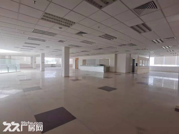 z番禺大道边独门独院天车厂房出租，带喷淋消防，空地超大-图2