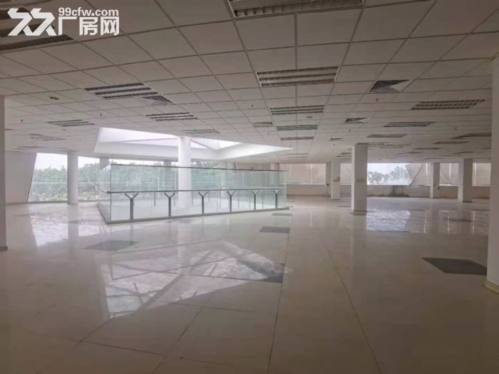 z番禺大道边独门独院天车厂房出租，带喷淋消防，空地超大-图5