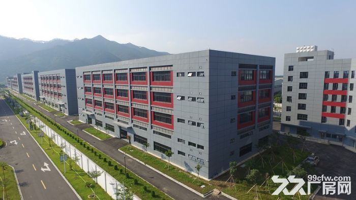 低至9.9全新红本标准厂房-图3