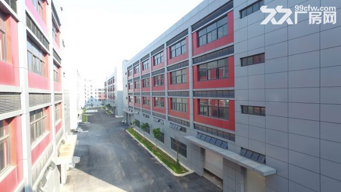 低至9.9全新红本标准厂房-图6