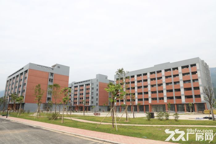 低至9.9全新红本标准厂房-图8