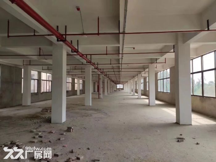番禺13000方整栋办公电商直播摄影仓库厂房出租可注册公司交通方便-图2