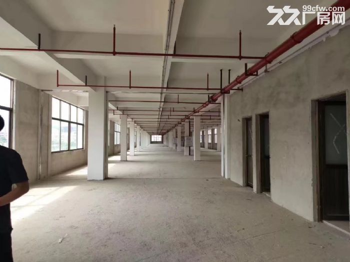 番禺13000方整栋办公电商直播摄影仓库厂房出租可注册公司交通方便-图3