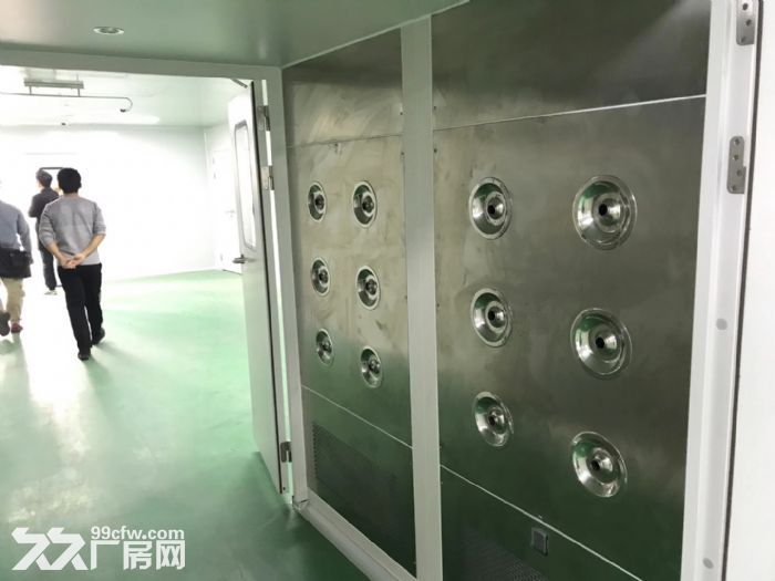 番禺钟村15000方无尘车间出租-图2
